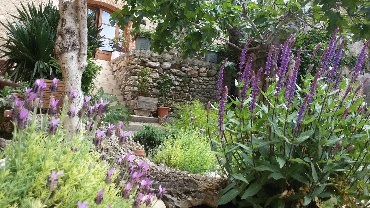 L'Ile Aux Mimosas Bed & Breakfast Tautavel Cameră foto